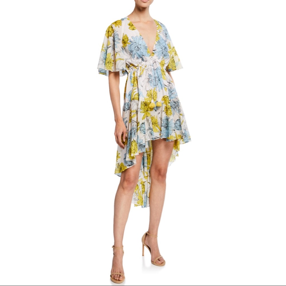 Alexis Idella High Low Dress